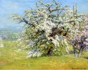 约翰 约瑟夫 恩内金 : Blooming Meadows